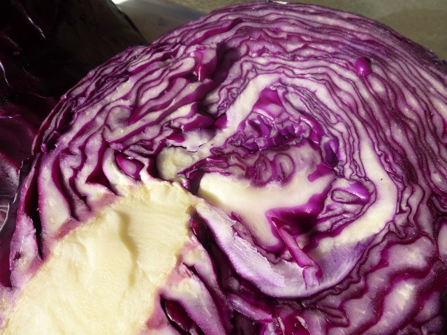 Red Cabbage