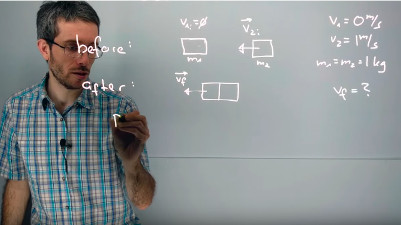 1D Inelastic Collision Example